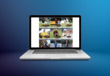 Top 12 der Sportler, über die wir 2024 am häufigsten berichtet haben