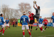 TSB Flensburg – SSG Rot-Schwarz Kiel (16.11.2025)