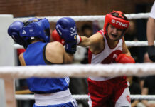 DGF Flensborg: Olympisches Boxen (19.09.2026)